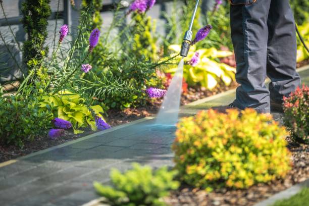 Best Patio and Deck Pressure Washing  in Three Way, TN