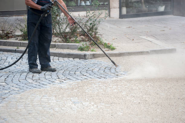 Best Animal Enclosure Cleaning  in Three Way, TN